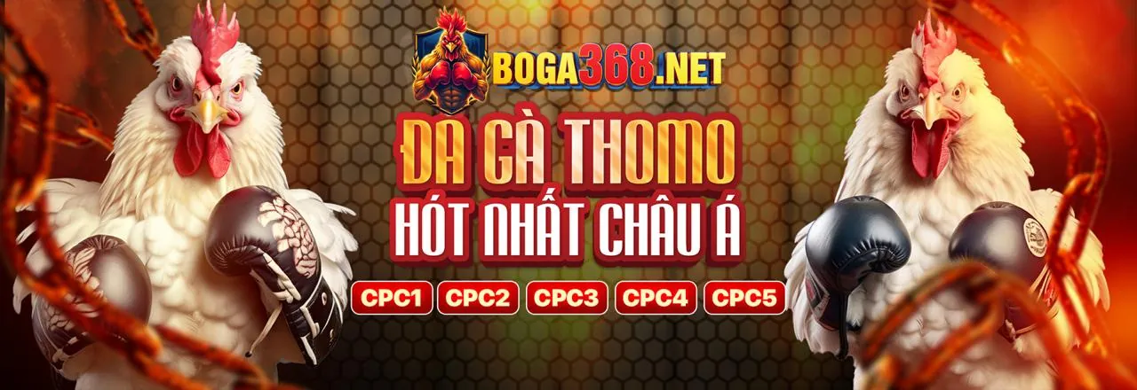 Hình ảnh đại diện cho quy tắc trò chơi công bằng tại neo79 login